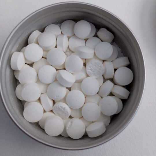 dentifrice pastille menthe